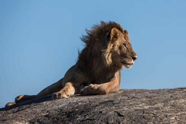 Serengeti National Park