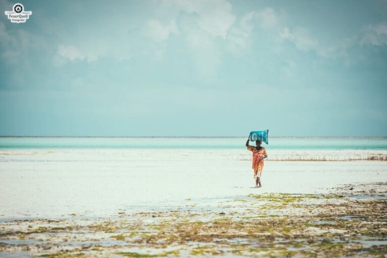 Kuza Cave & SeaWeed Farm