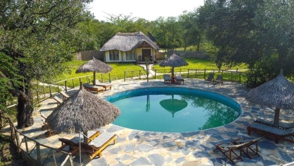 Africa Safari Selous