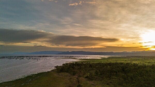 Africa Safari Lake Manyara