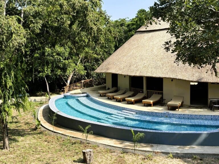 Africa Safari Nyerere