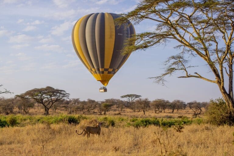 Ballonvaart Serengeti NP
