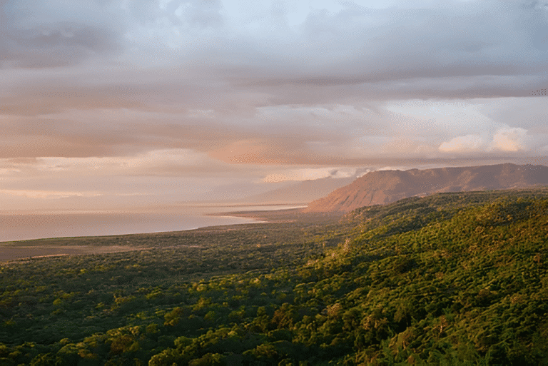 Balaa Hill Tour