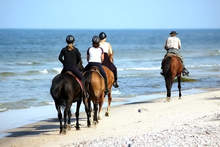 Paardrijden in Nungwi, Great Northern Beach en Jungle