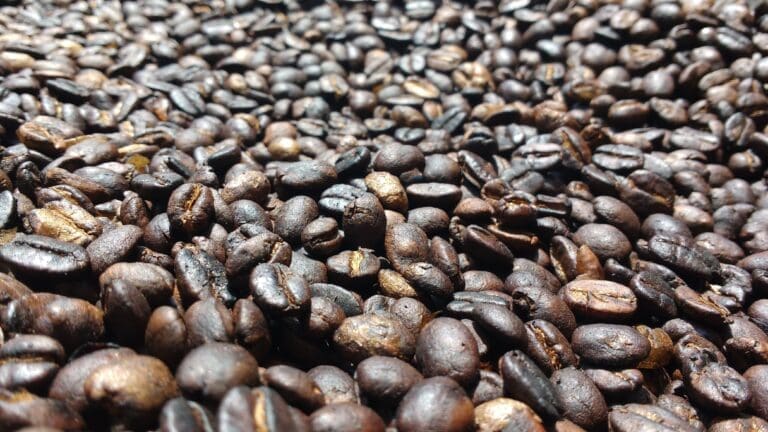 Karatu koffieplantage tour