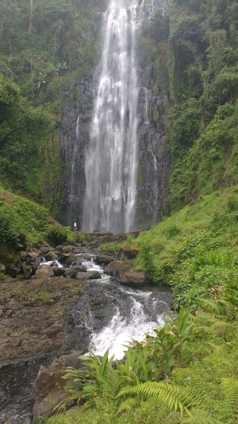 Kilimanjaro Walking tour