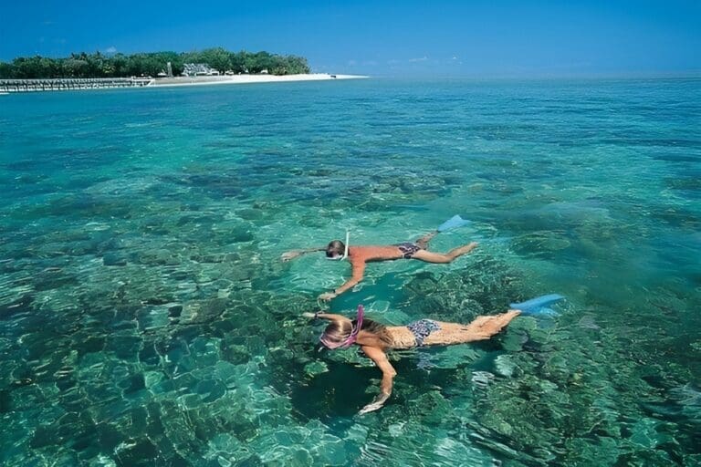 Mnemba snorkelling