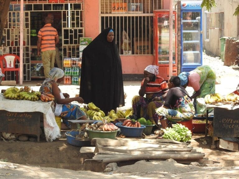 Village Walk & Market Tour in Mto wa Mbu