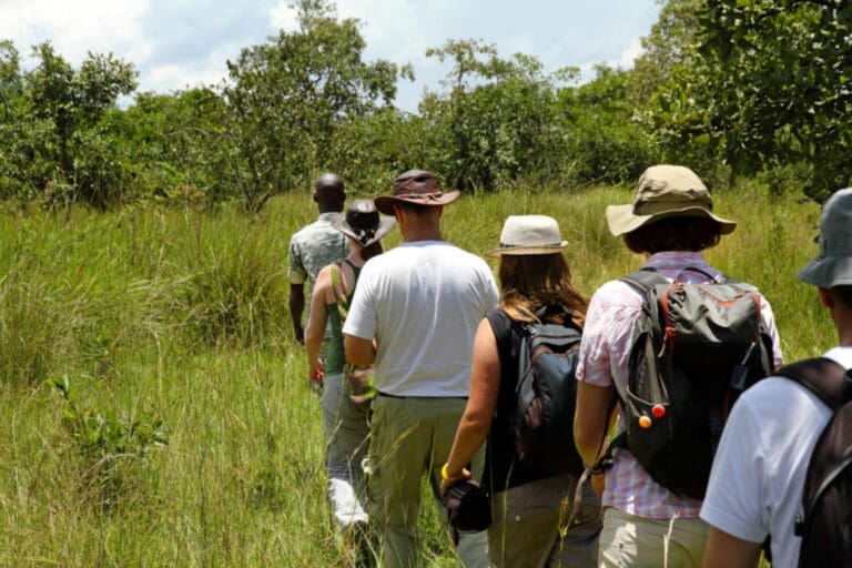 Wandelsafari Arusha National Park