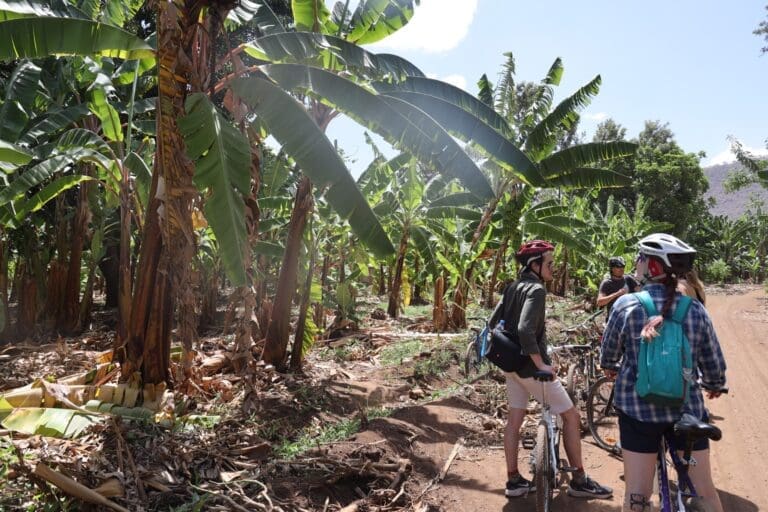 Mountainbike tour in Mto wa Mbu Village & downhill Rift Valley